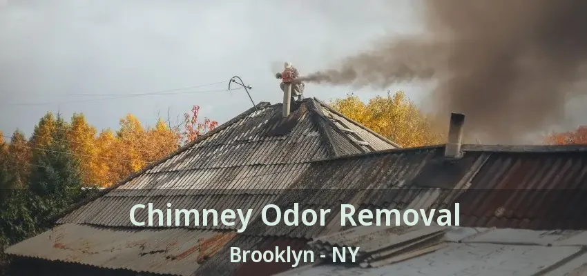 Chimney Odor Removal Brooklyn - NY